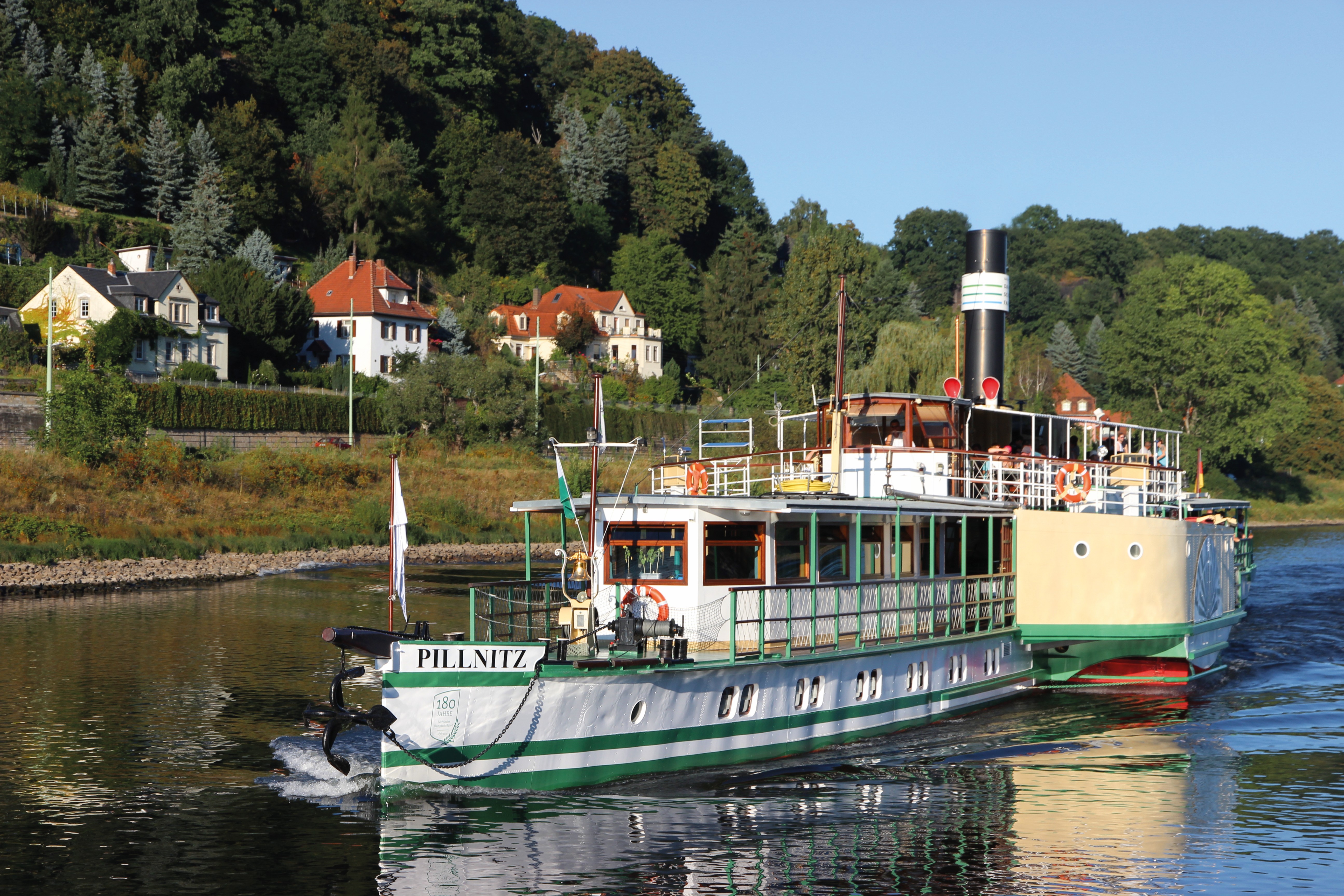 Picture of a Paddle Steamer